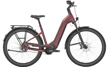 Tiefeinsteiger Ebike mit 12 Gang Pinion Motor und Schaltung in Einem !